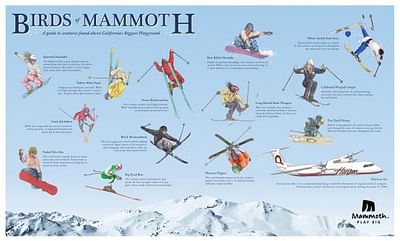 Birds of Mammoth - Publicité