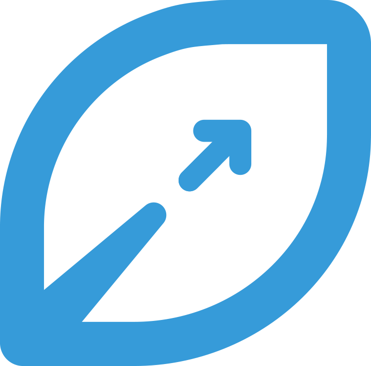 Mintense Agence SEO international et Google Ads
