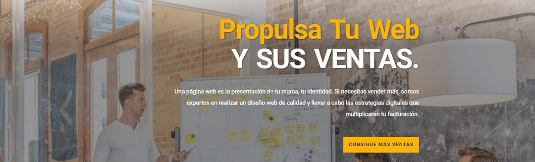 Propulsa Tu Web cover