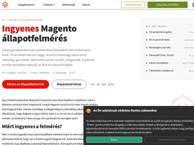 Magento 2 Service Site on Our Own WebPotCMS - SEO