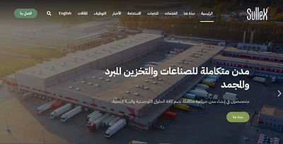 Website Creation for sullex - Estrategia digital