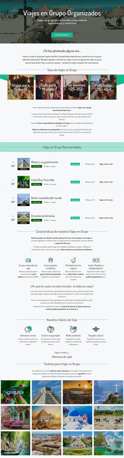 Marketing + Web + Estrategia - Agencia de Viajes - Website Creation