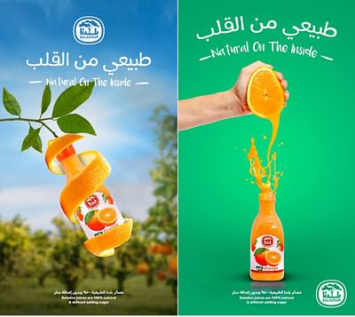 Baladna Food Company - Branding & Positioning