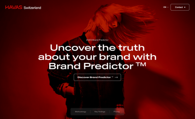 BrandPredictor - Web Application