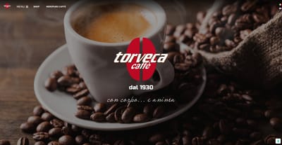 Torveca - Creazione di siti web