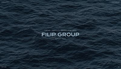 Logo design and Branding for US food Distributor - Graphic Design