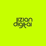Dizian Digital logo