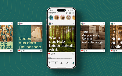 Homepage und Design für das SHZ - Website Creation
