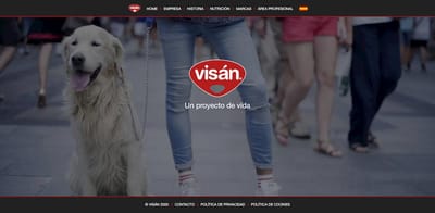 Web corporativa - Creación de Sitios Web