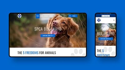 SPCA Bulawayo Website Redesign - Website Creation