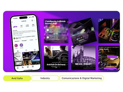 Avid - Digital marketing - Strategia digitale