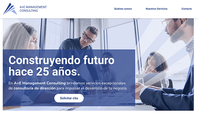 A+E Management Consulting - Desarrollo web - Création de site internet
