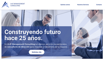 A+E Management Consulting - Desarrollo web - Website Creatie