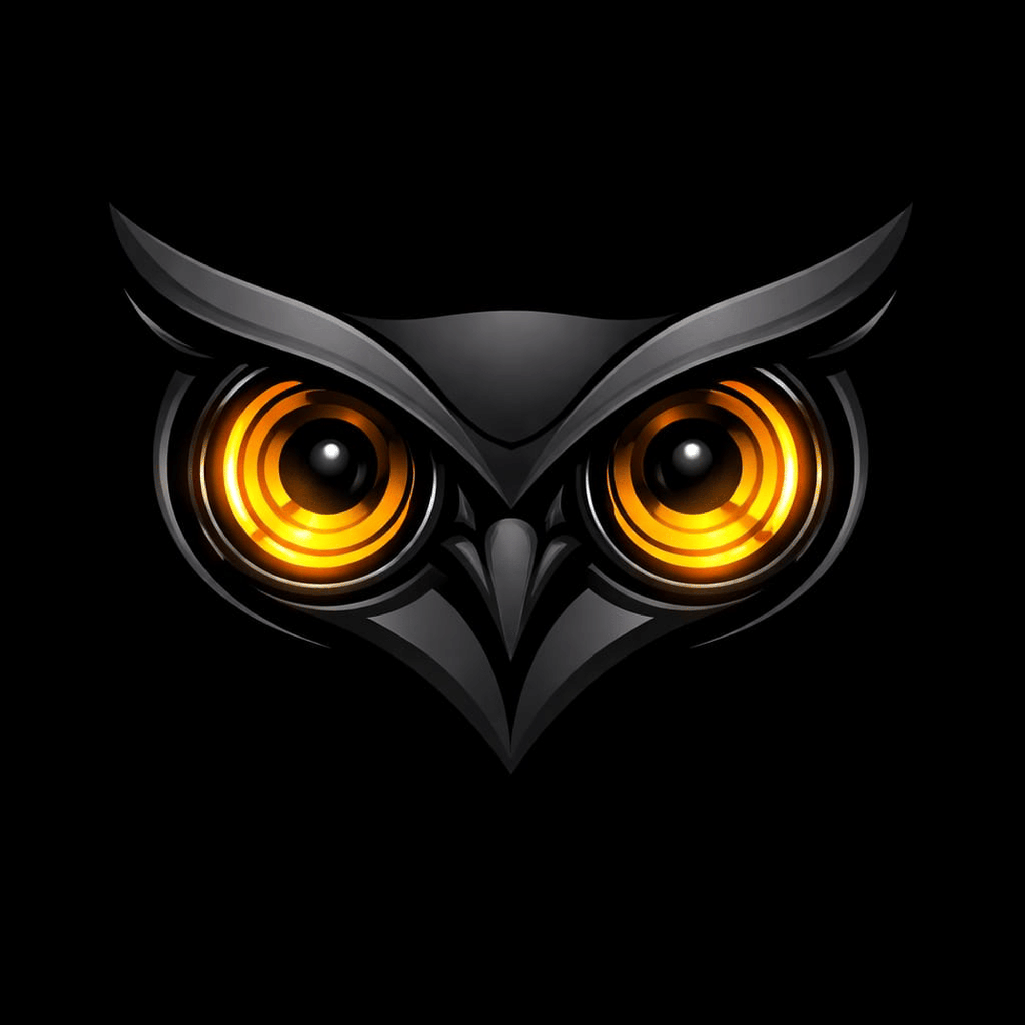 Black Owl Technologies