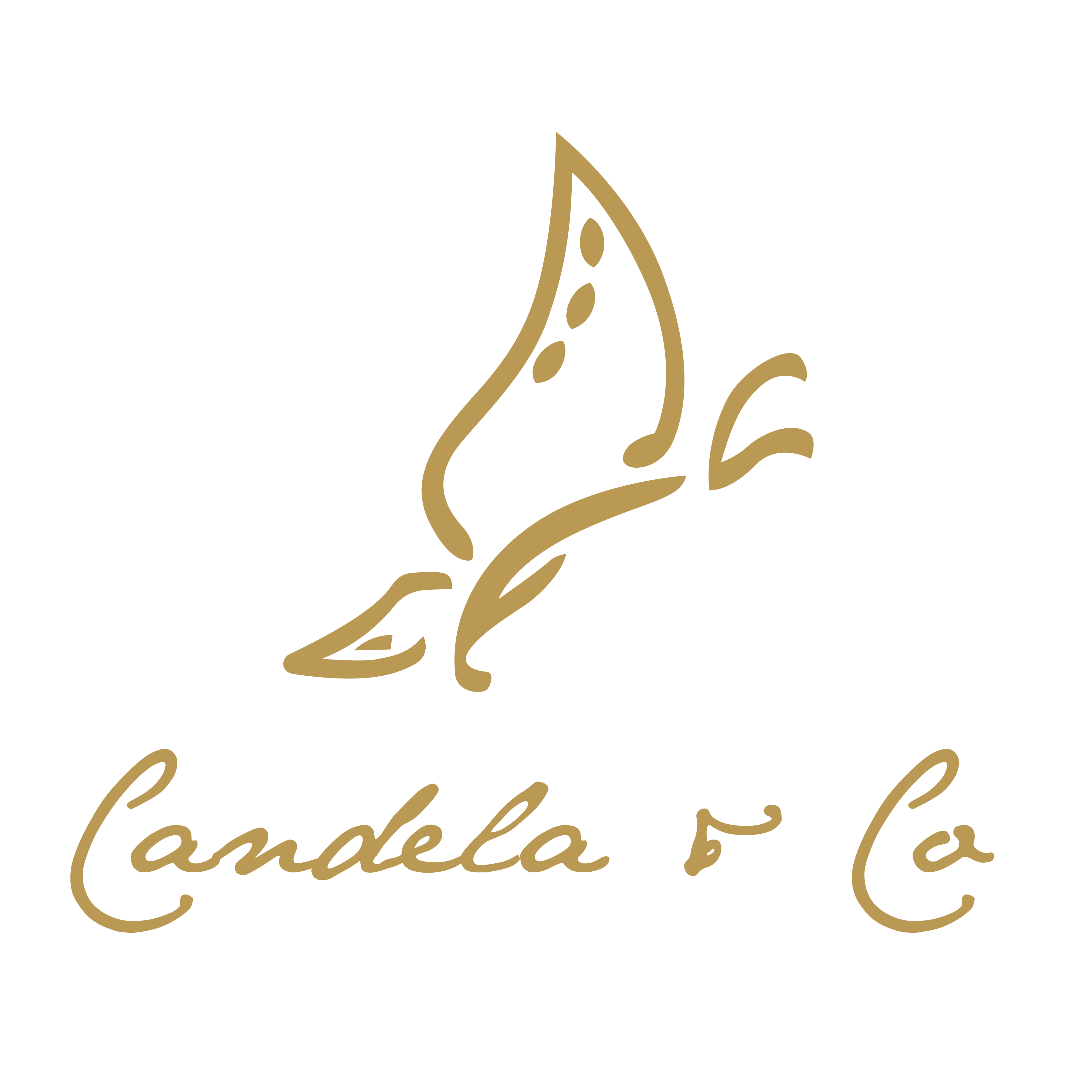 Candela&Co