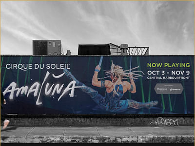 Design, Advertising, Marketing | Cirque Du Soleil - Content-Strategie