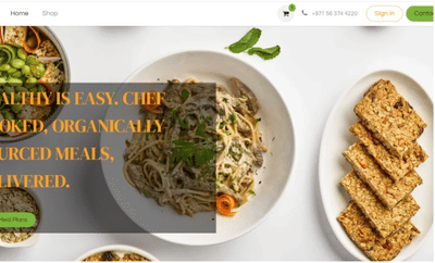 Custom E-Commerce Website for LowK - Webseitengestaltung