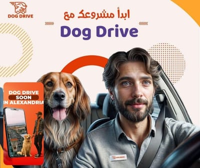 Dog Drive Mobile Application - E-commerce