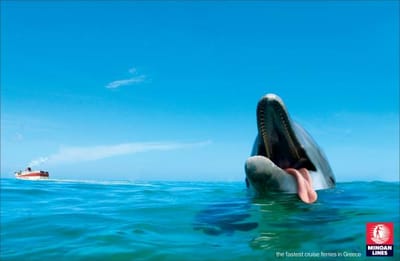 Dolphin - Publicidad