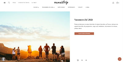 Namastrip - Webmarketing site e-commerce