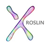 Roslin Design logo
