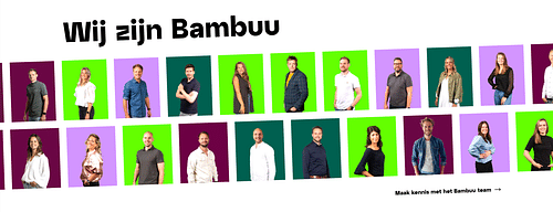 Bambuu. Groeimakers. cover