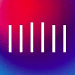 Digital Agentur