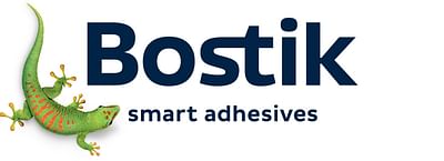 Bostik - Web development - Web Applicatie