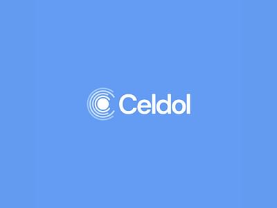 Desarrollo de Marca - Celdol - Branding & Positioning