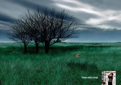 Lion - Advertising