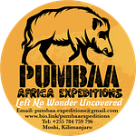 PUMBAA AFRICA EXPEDITIONS logo