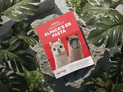 Knuffelen met Alpaca's - Content Strategy