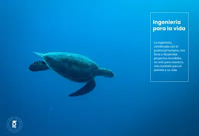 Gaia International - Branding y posicionamiento de marca