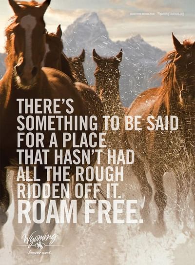Horses - Reclame