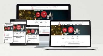 CRÉATION DU SITE INTERNET D’ITALVIN - E-Commerce