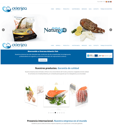 Desarrollo web Oversea - Creación de Sitios Web