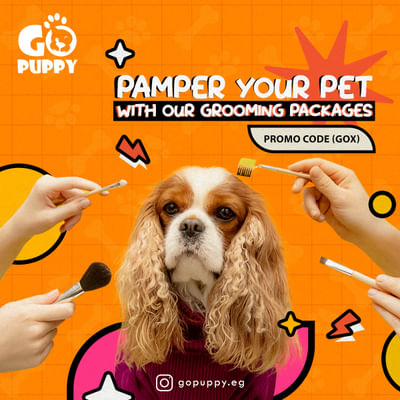 Go Puppy - Community Management