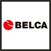 BELCA - Consultoría de Datos