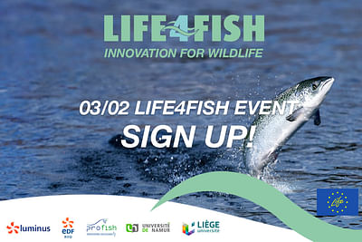 2020-2022 - Life4Fish - Création de site internet