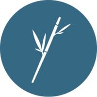 Bamboo Consulting