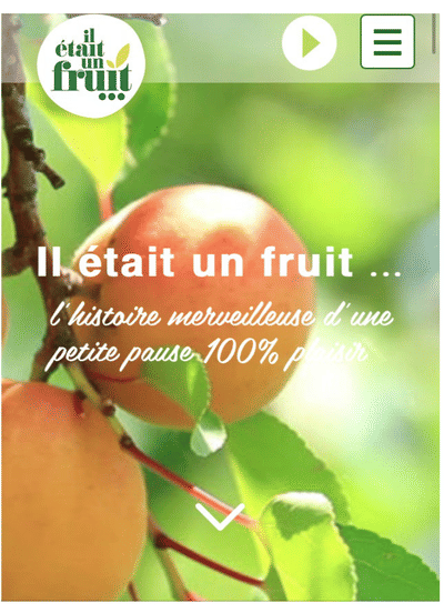 Il était un Fruit : Création de la marque et Conseil Marketing - Image de marque & branding
