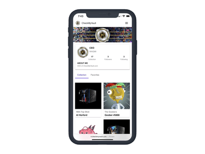 Checkmyvault - Web and Mobile App Development - Application web