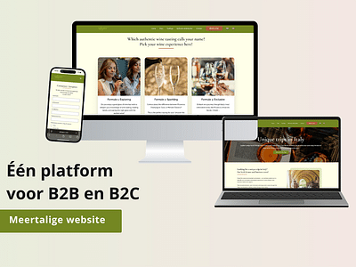 Website voor wijnreizen - Website Creatie