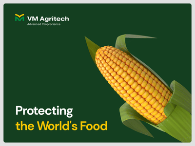 Cultivating a Sustainable Future - Image de marque & branding