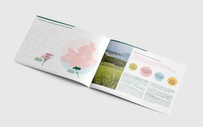 Identité Vignoble de Provence & de Méditerranée - Communication corporate