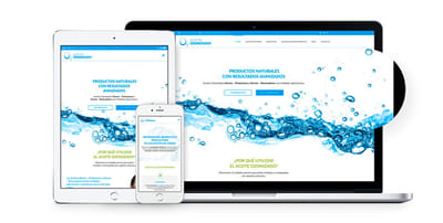 Diseño de sitio web, blog y Social Media - Email Marketing