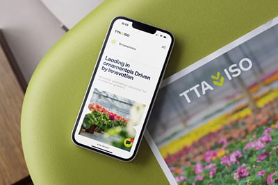TTA-ISO - Digital Strategy