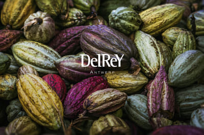 DelReY - Graphics & content creation - Reclame