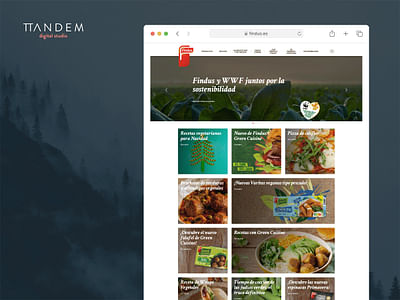 Findus España: desarrollo web con Sitecore - Aplicación Web