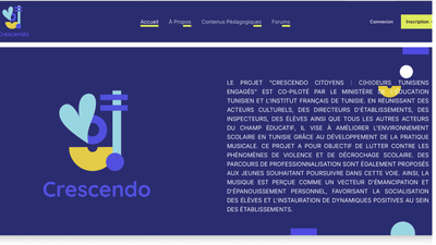 Website creation - Creación de Sitios Web
